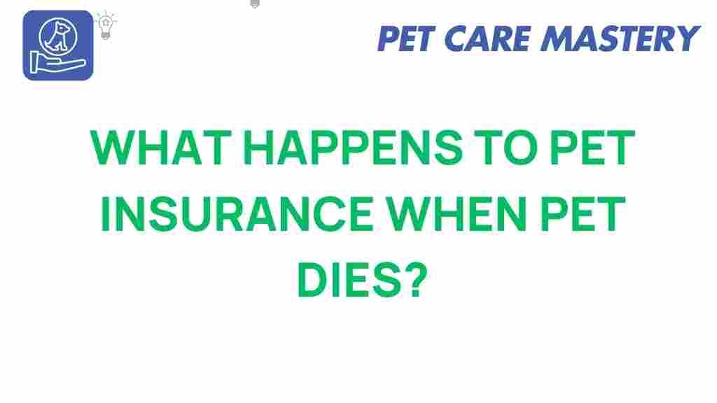 pet-insurance-when-pet-dies