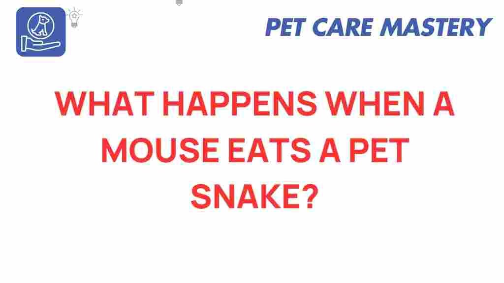 mouse-feeding-pet-snake