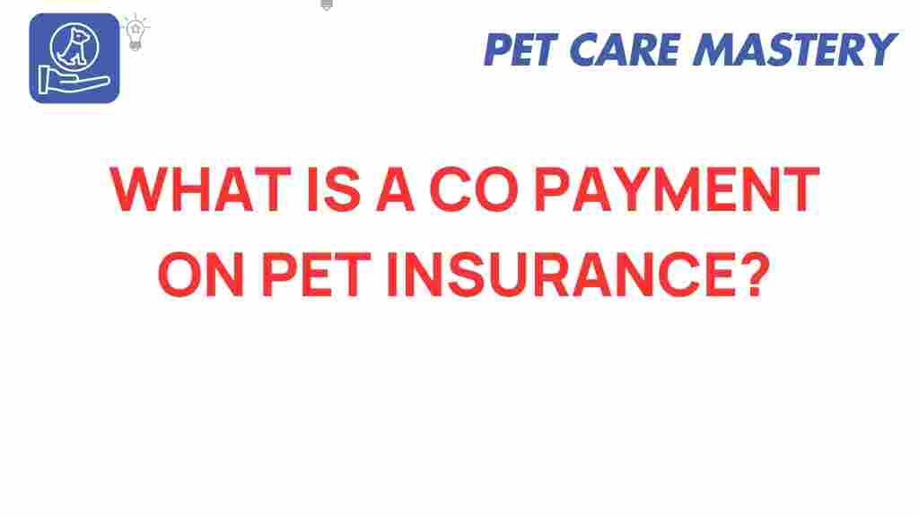 pet-insurance-co-payment