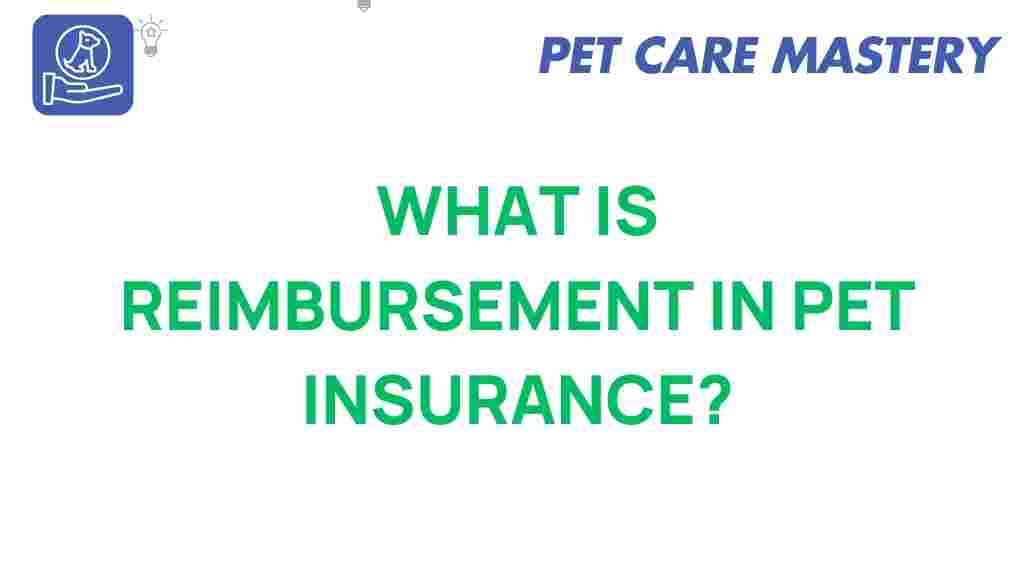 pet-insurance-reimbursement