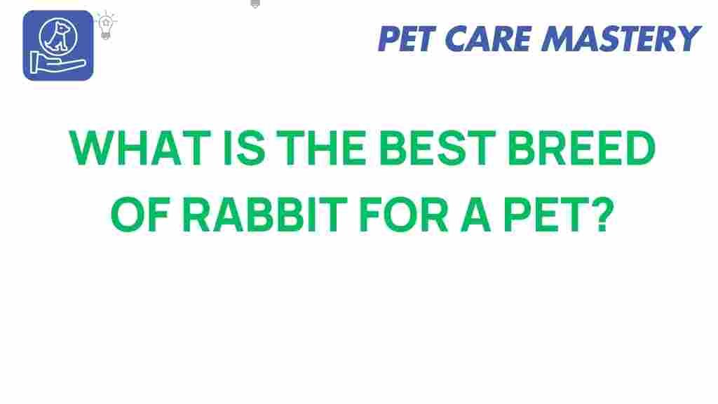 discovering-ideal-rabbit-breed