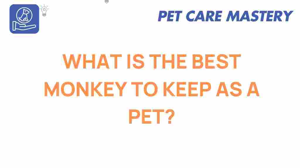 best-monkey-pet