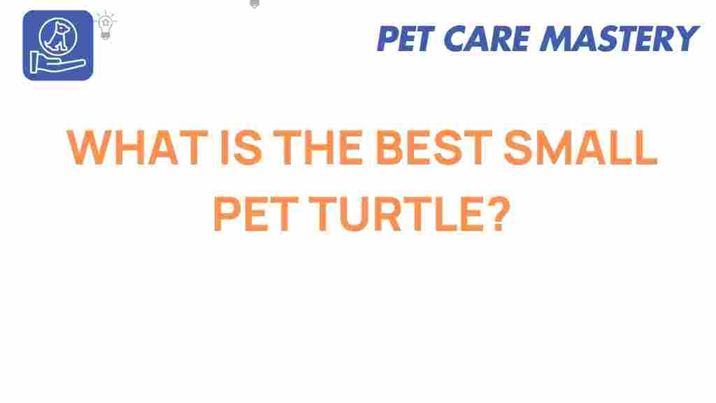 best-small-pet-turtle