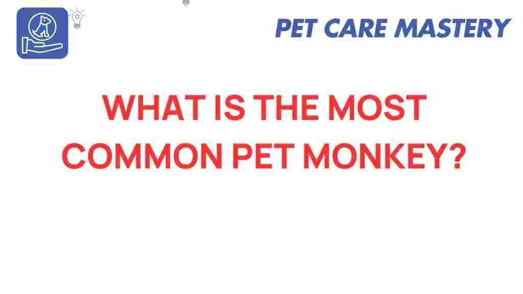 pet-monkey-capuchin