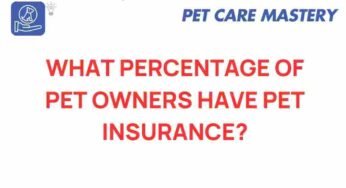 Unveiling the Surprising Percentage of Pet Owners with Insurance