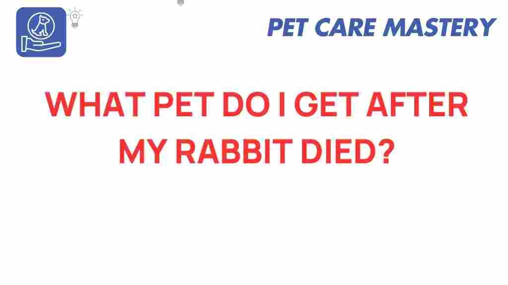 what-pet-after-rabbit-loss