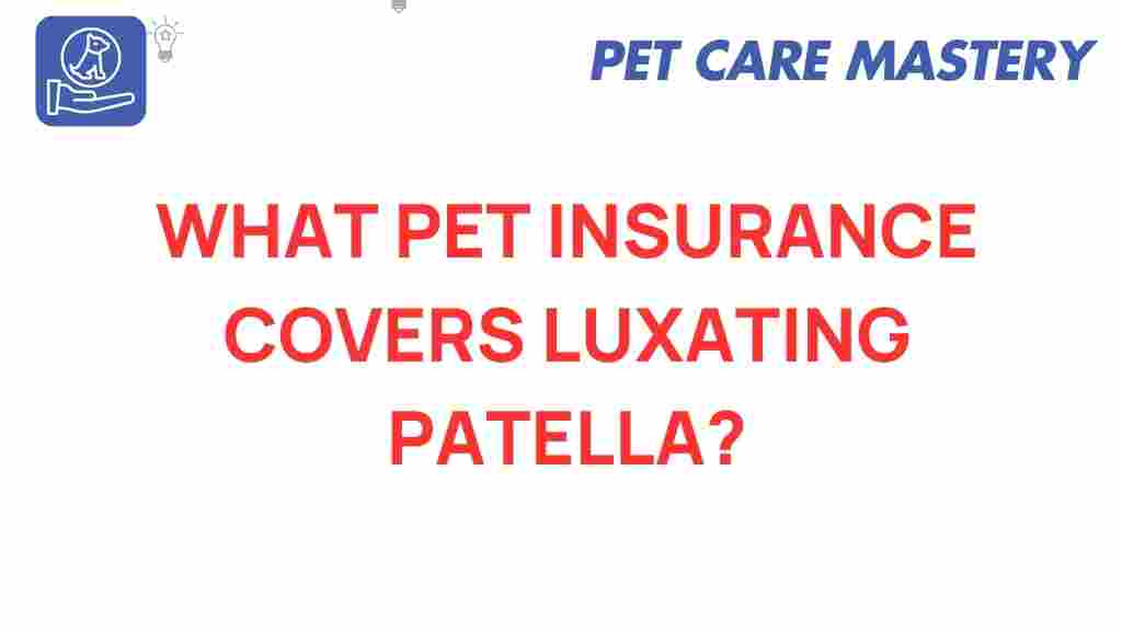 pet-insurance-luxating-patella