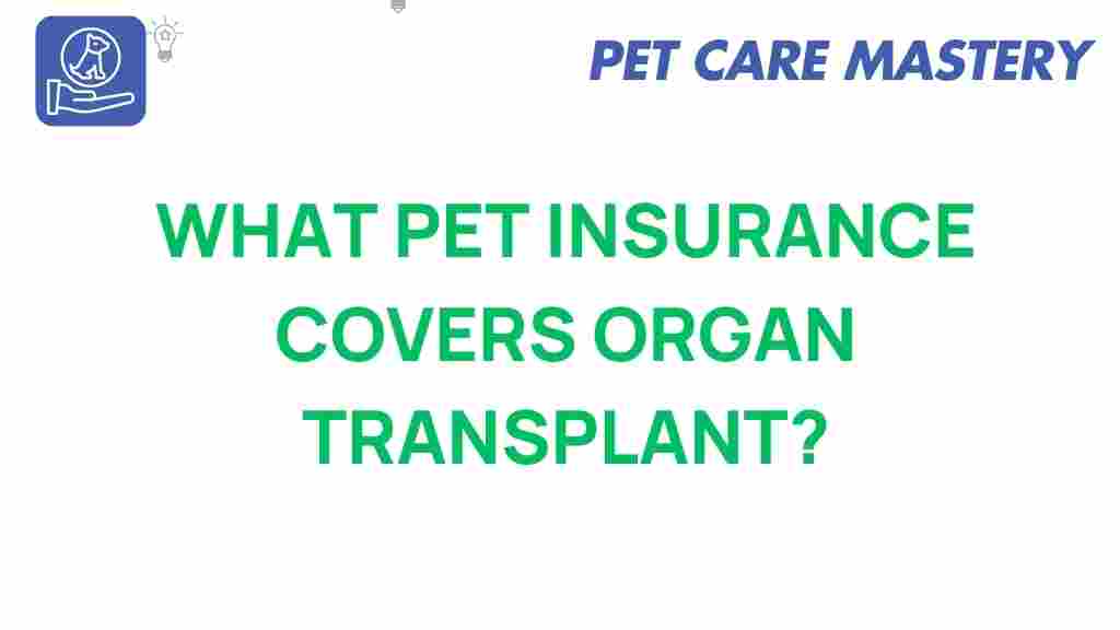pet-insurance-organ-transplant