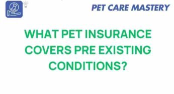 Unraveling Pet Insurance: What’s the Deal with Pre-Existing Conditions?