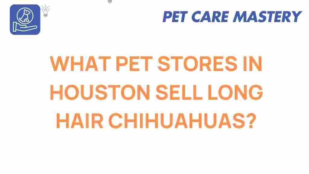 long-haired-chihuahuas-houston-pet-stores