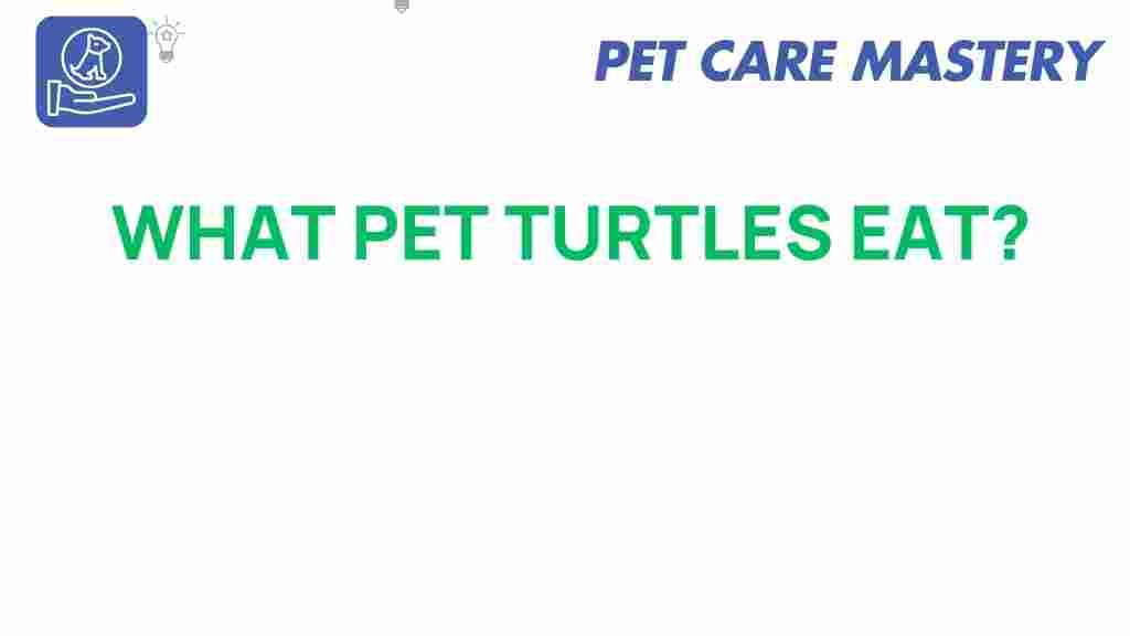 pet-turtles-diet