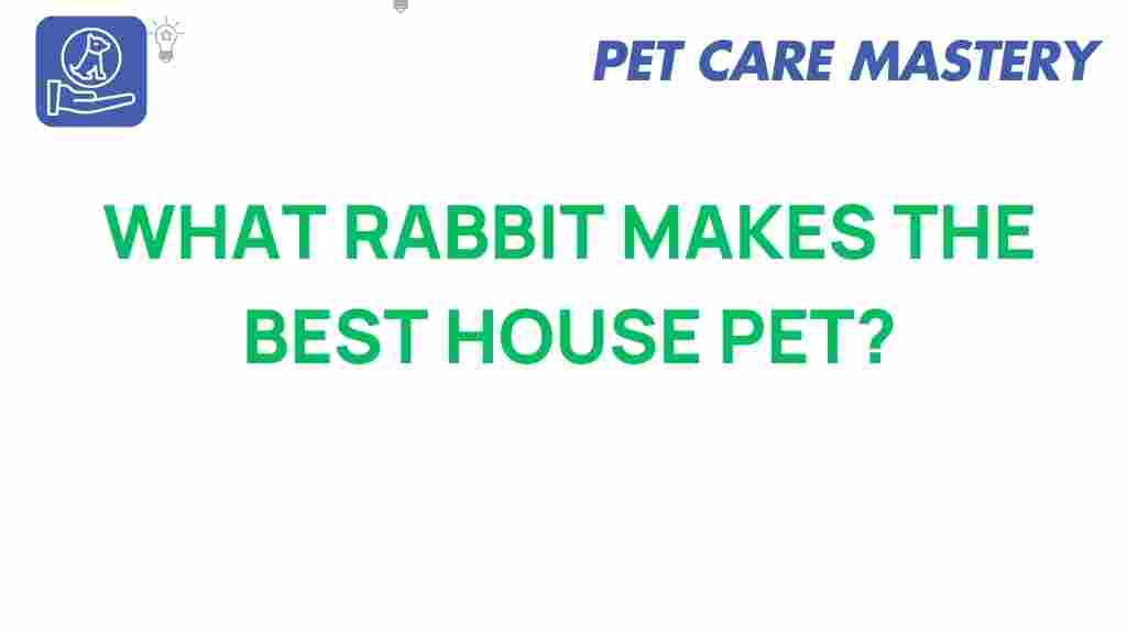discover-ideal-rabbit-breed-house-pet