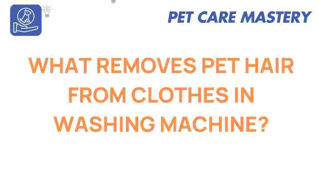 pet-hair-removal-in-washing-machine
