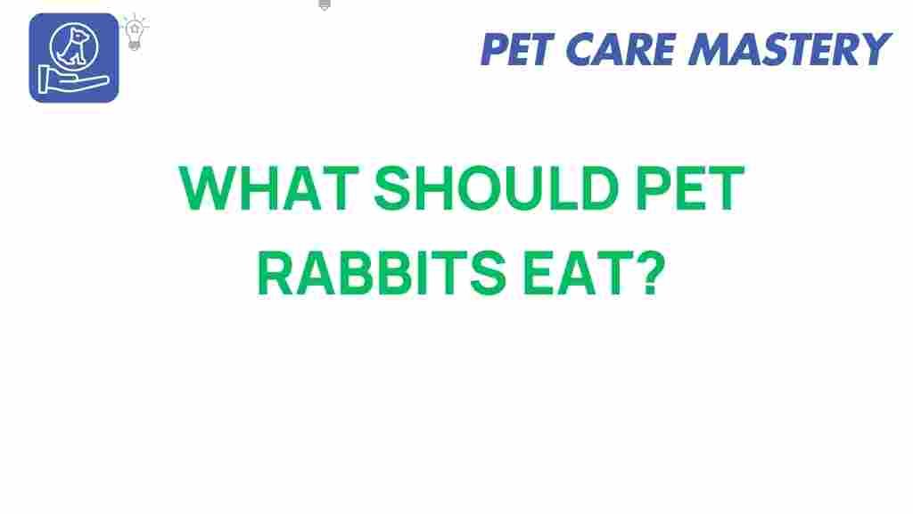 pet-rabbits-diet