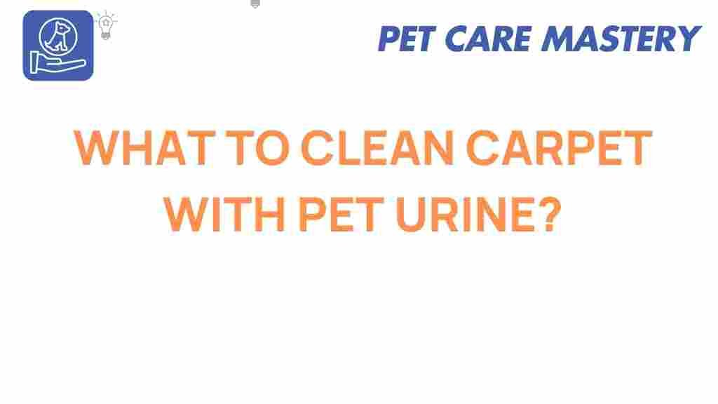 clean-carpet-with-pet-urine