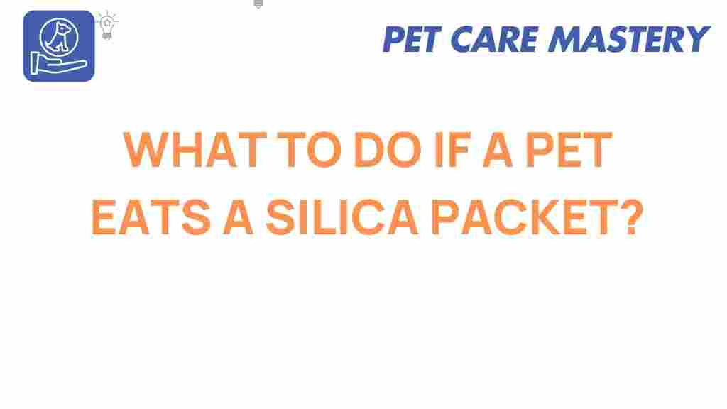 pet-safety-silica-packet