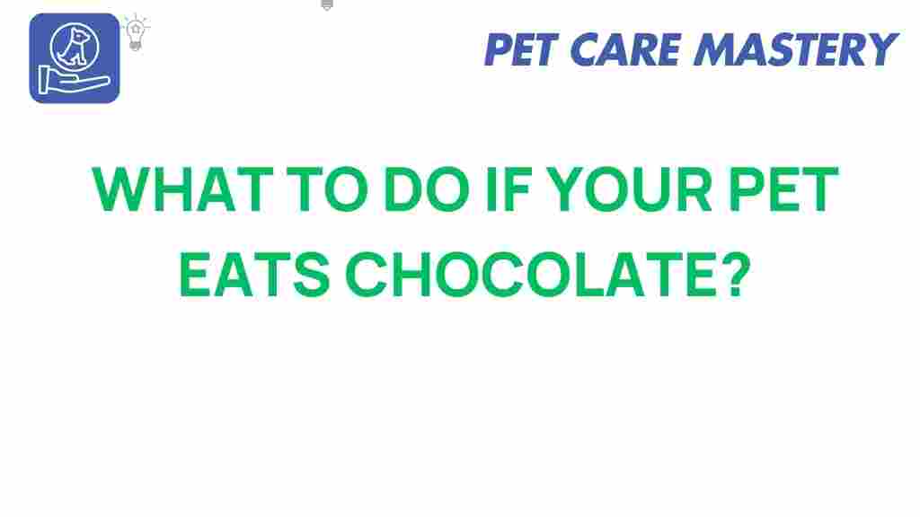 pet-safety/chocolate-toxicity