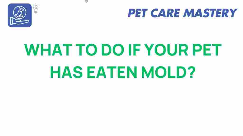 pet-health-eaten-mold