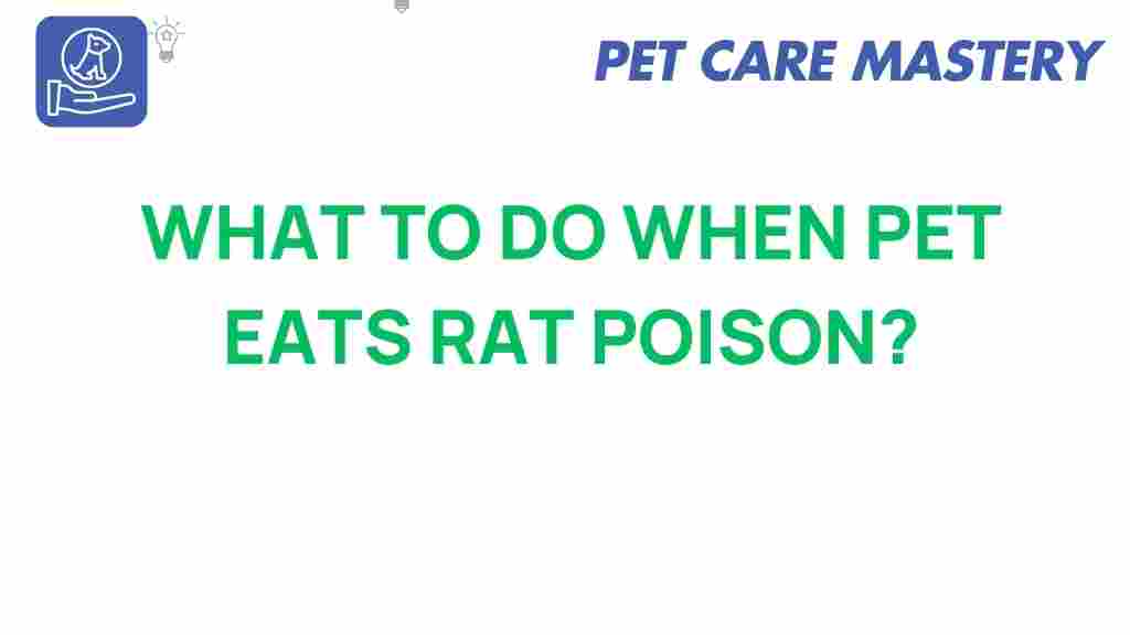 rat-poison-pet-safety