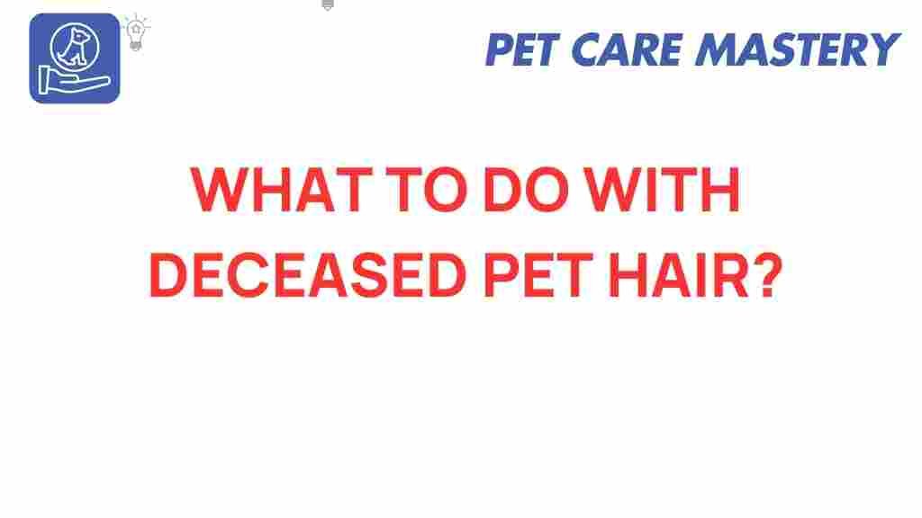 deceased-pet-hair-solutions