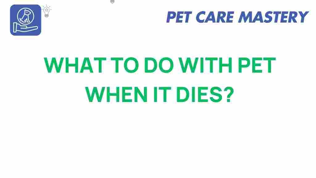 pet-loss-guide-what-to-do-when-it-dies