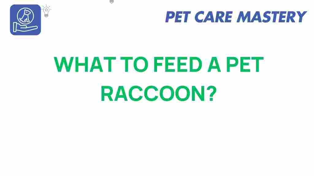 what-to-feed-a-pet-raccoon