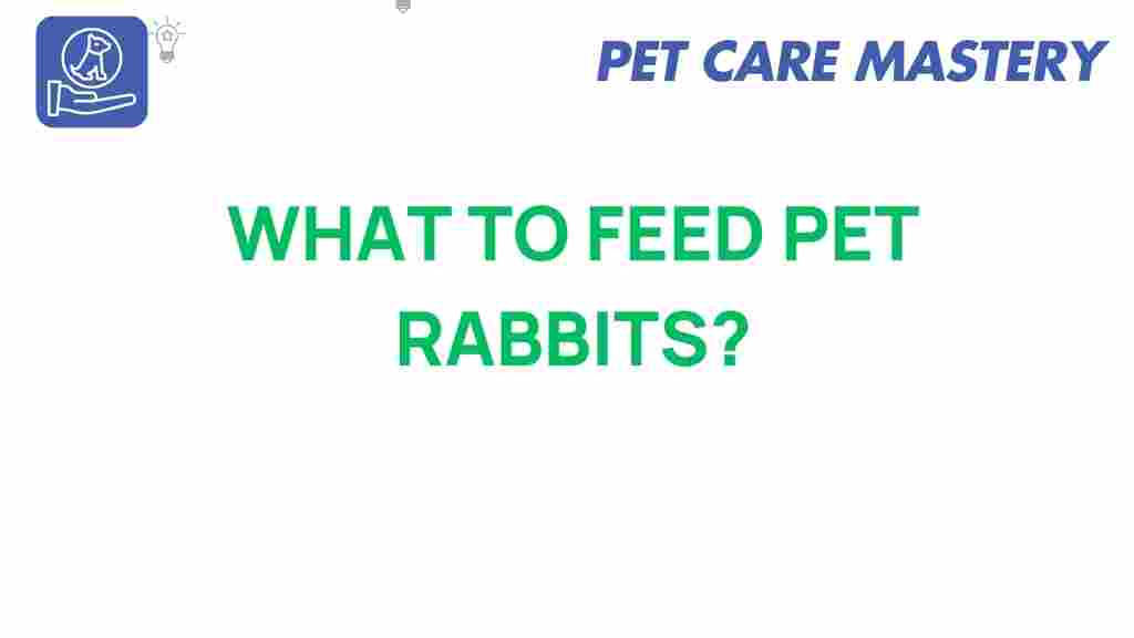 what-to-feed-pet-rabbits