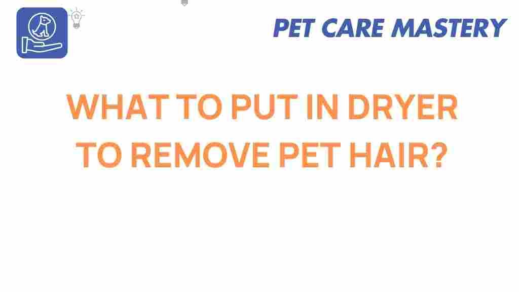 pet-hair-removal-dryer
