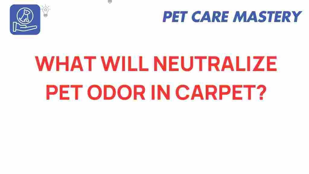 pet-odor-in-carpet