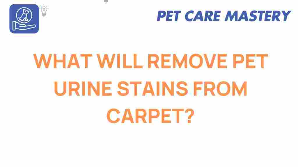 pet-urine-stains-removal-carpet