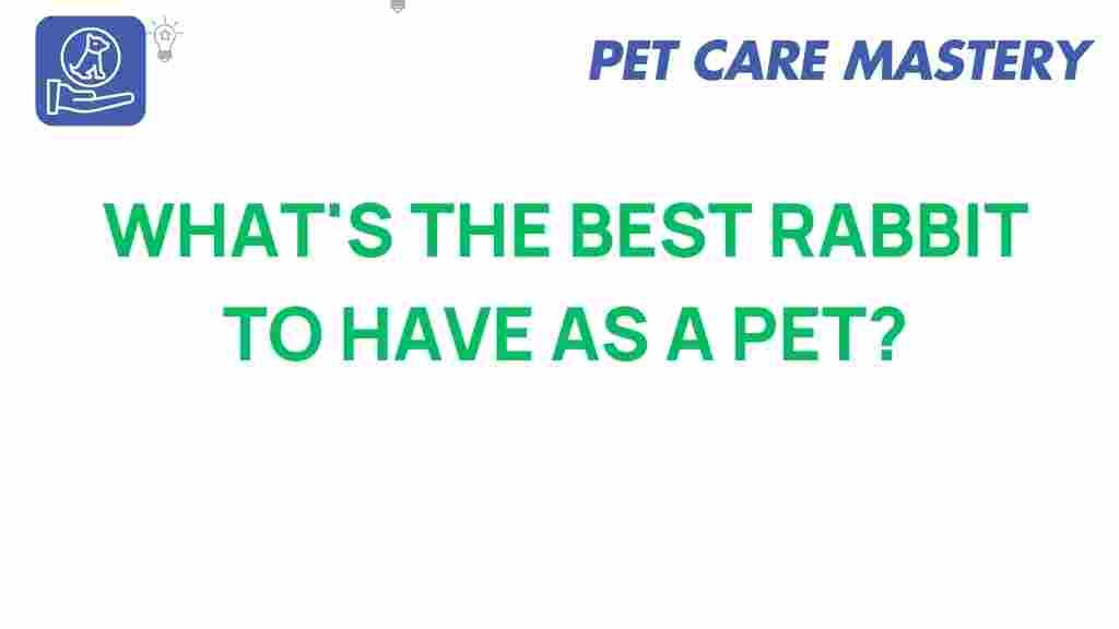 best-rabbit-pet