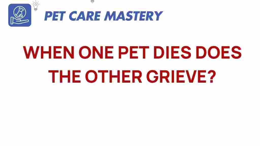 pet-grief-experience