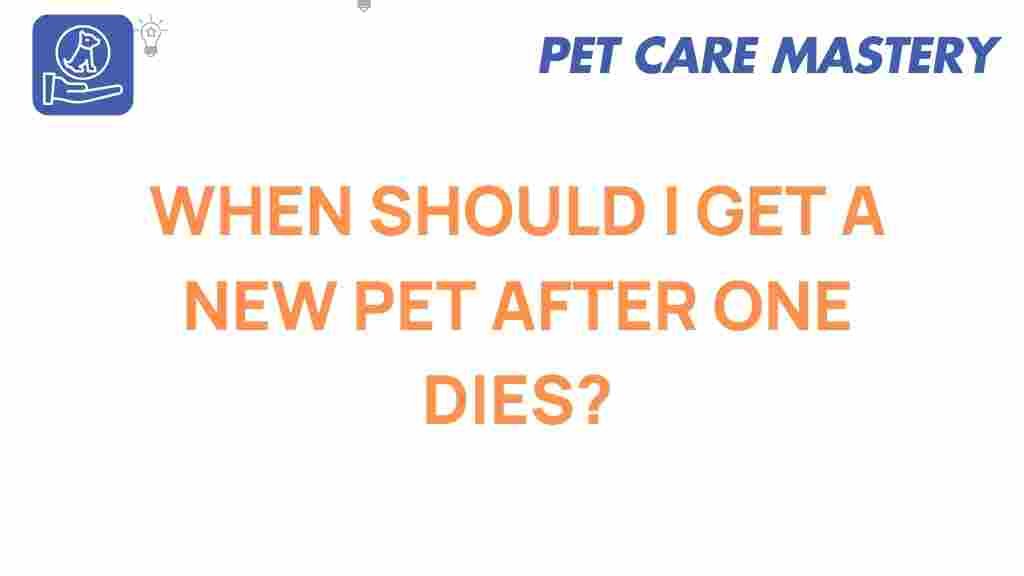 new-pet-timing-after-loss
