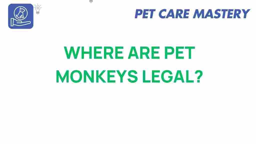 pet-monkeys-legal