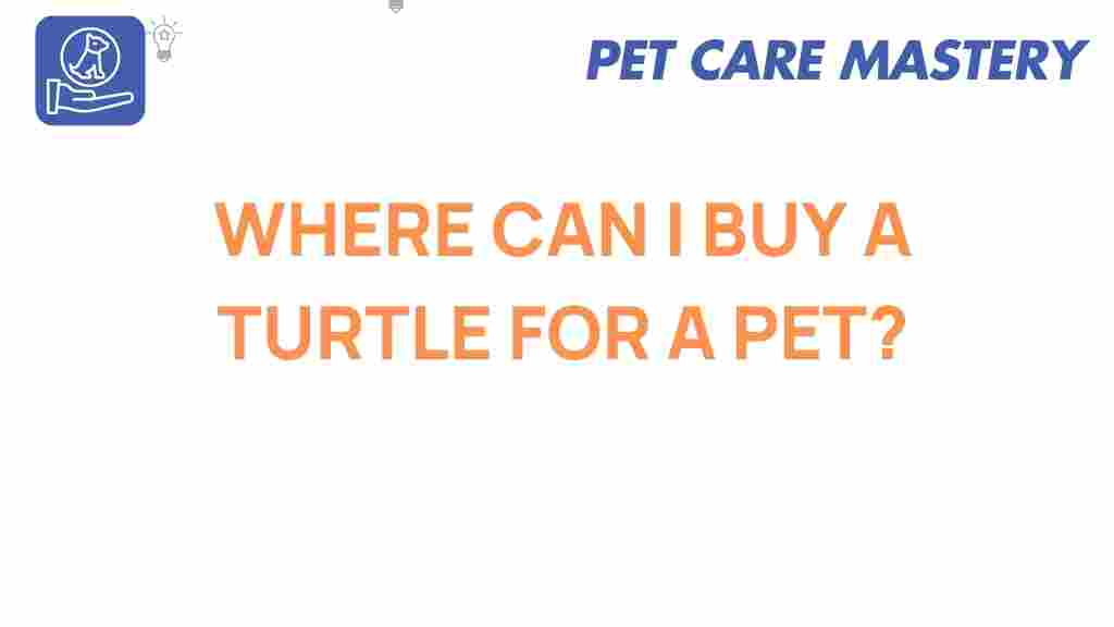 where-to-buy-pet-turtle