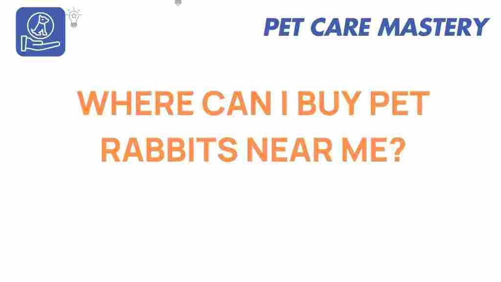 buy-pet-rabbits-near-me