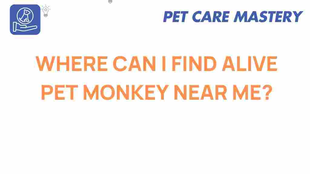 pet-monkeys-near-me