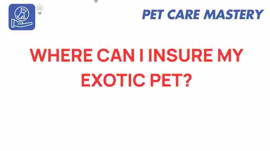 exotic-pet-insurance-options