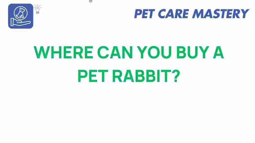 buying-rabbits