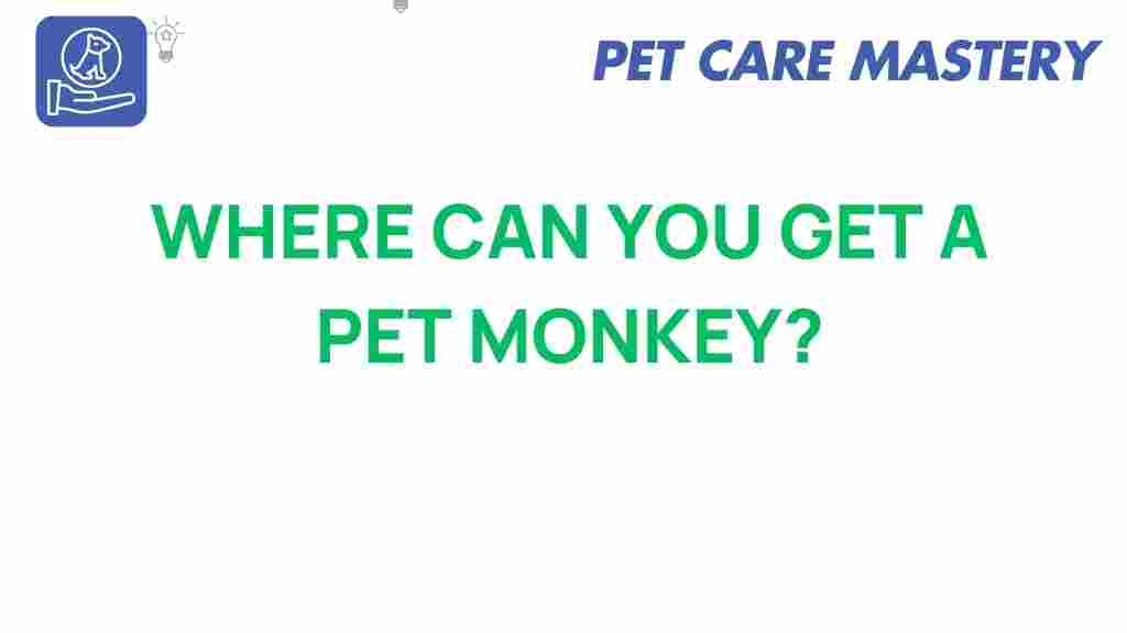 pet-monkey-ownership