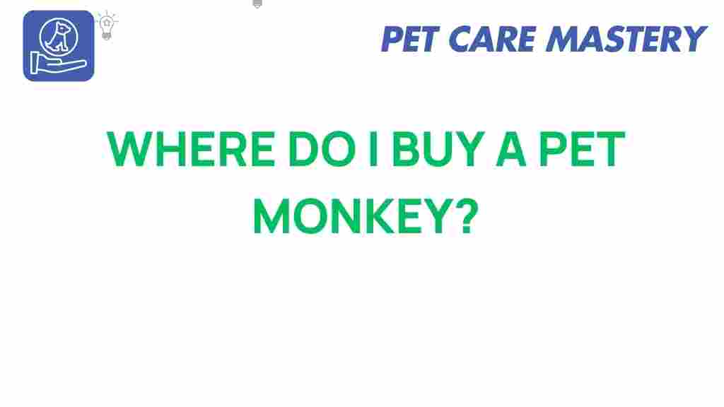 where-to-buy-a-pet-monkey