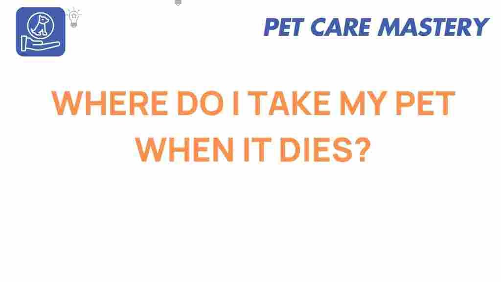 pet-loss-where-to-take-my-pet-when-it-dies