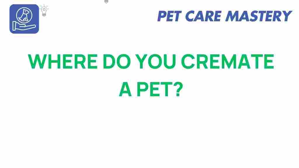 pet-cremation-options