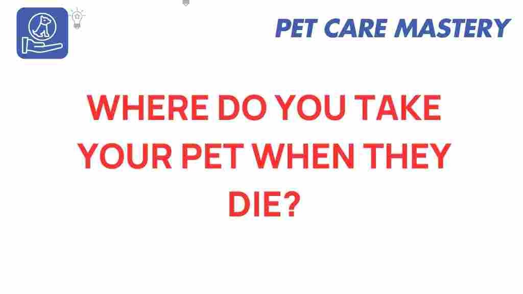 pet-loss-options