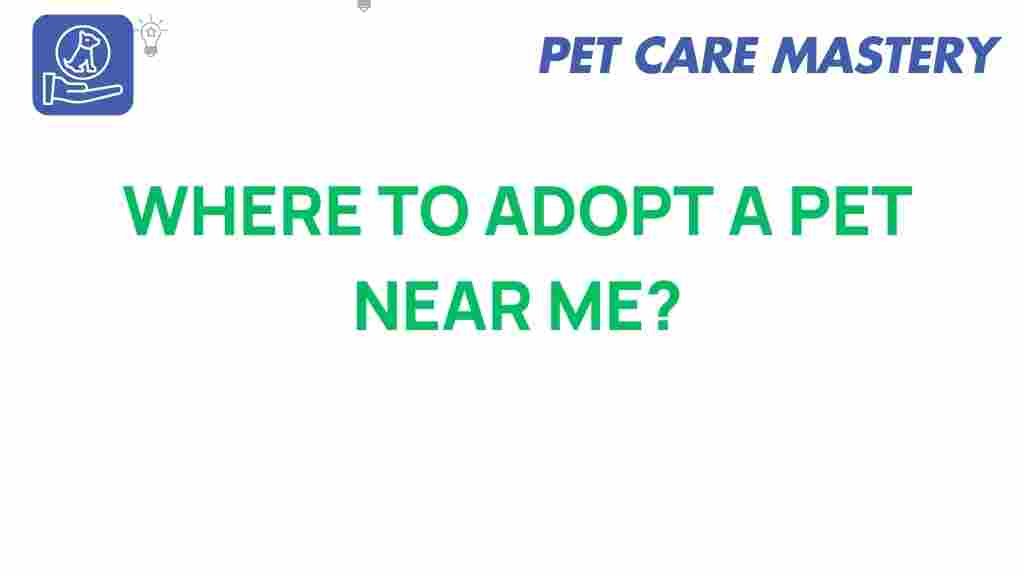 adopt-a-pet-near-me