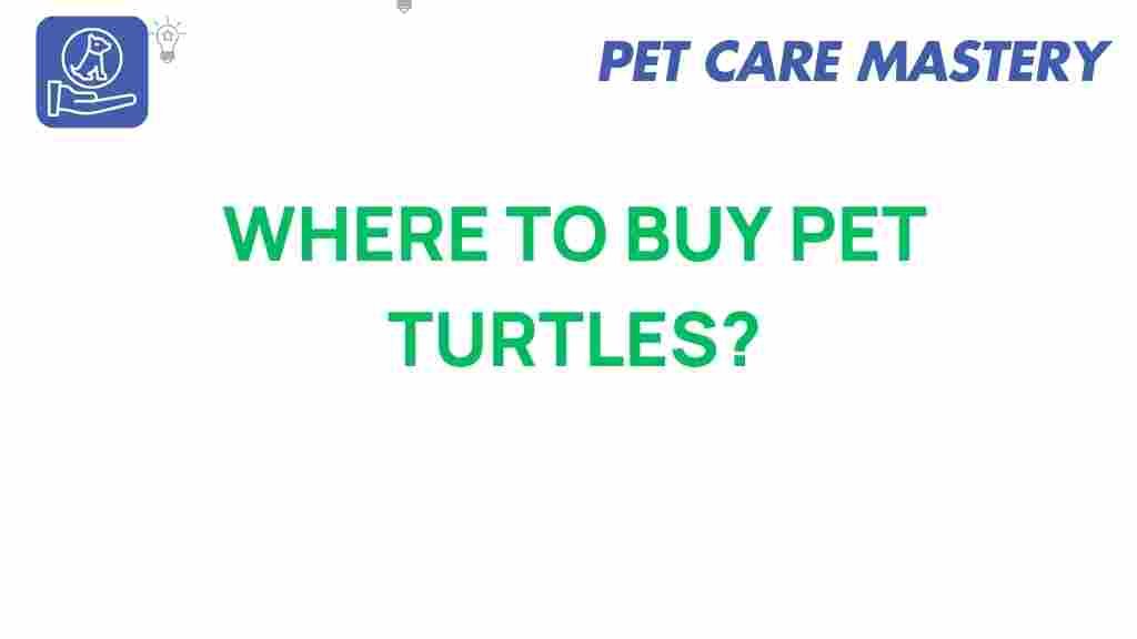 where-to-buy-pet-turtles