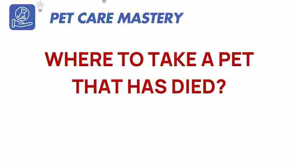where-to-take-a-pet-that-has-died