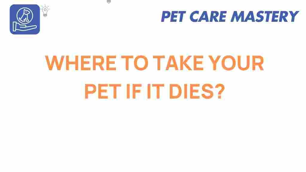 pet-loss-where-to-take-your-pet