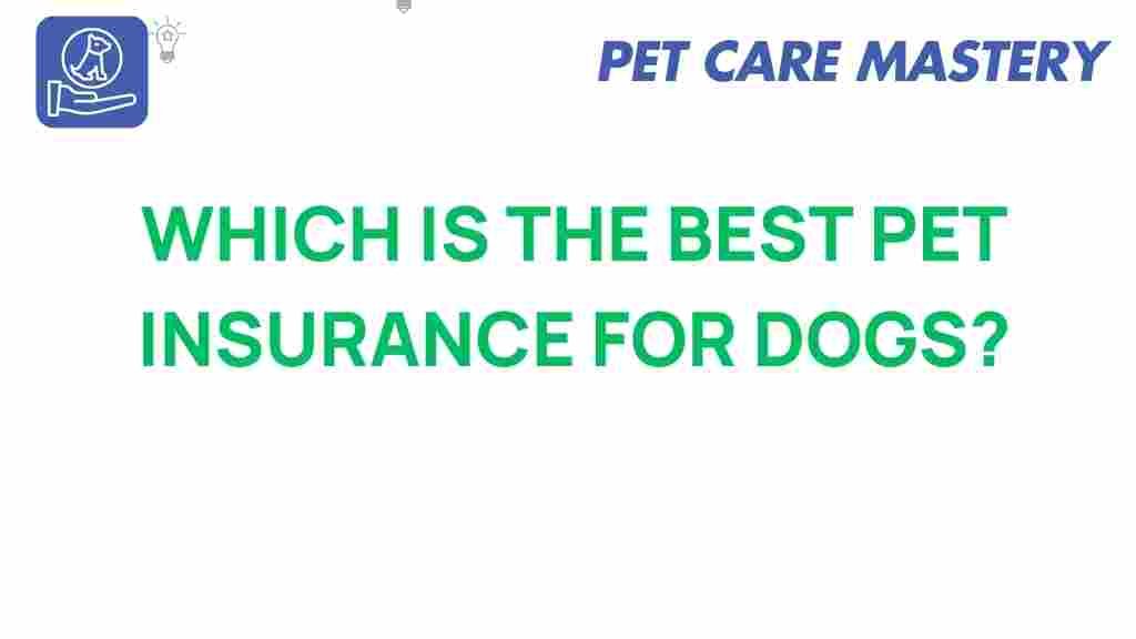 pet-insurance-best-dogs