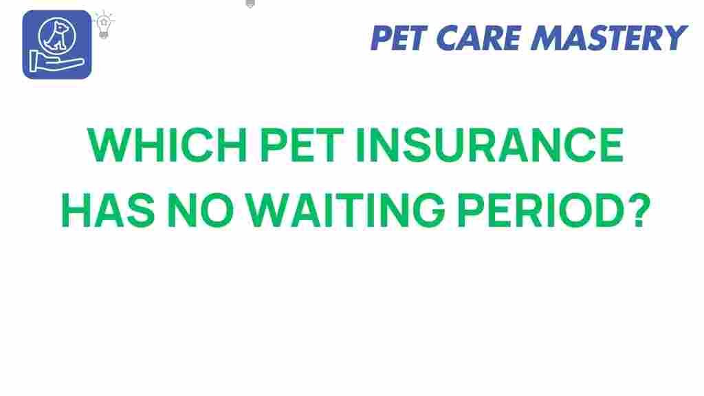 pet-insurance-no-waiting-periods